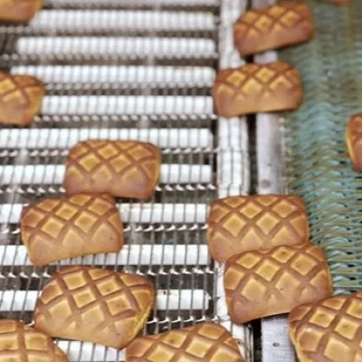 Wire Mesh Belts Explained: The Versatile Workhorse of Modern Conveyors