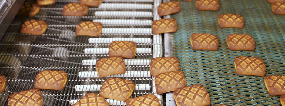 Bakery Products being Conveyed on Wire Mesh Belt